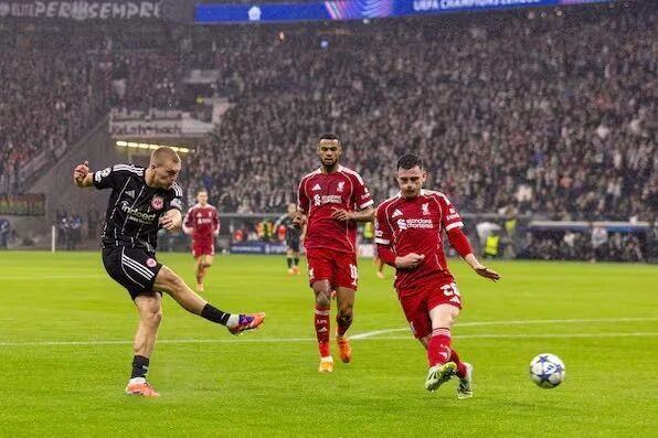 处于转型初, AA 处于转型初, AA